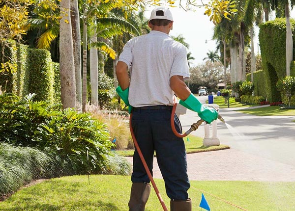 About Douglas GA Pest Control Pros